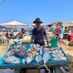 Cooking Class and Market Visit in Negombo - The Slight Drawback
