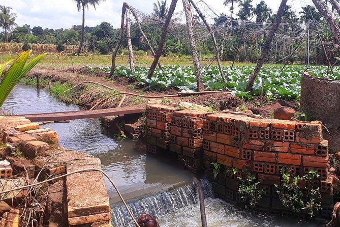 Cooking, Farming and Waterfall In Vietnam Countryside - Price and Value