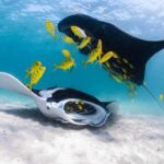 Coral Bay: Full Day Ningaloo Reef with Manta Rays Tour - Getting to Know the Itinerary