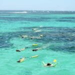 Coral Bay: Ningaloo Reef 3-Hour Turtle Ecotour - The Itinerary & Experience Breakdown