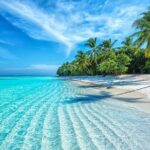 Coral Reef Snorkeling and Floating Bar Party from Nha Trang - Who Will Love This Tour?