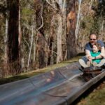 Corin Forest: Alpine Slide Ticket - Who Will Love This Experience?