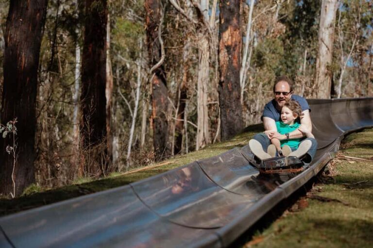 Corin Forest: Alpine Slide Ticket - Who Will Love This Experience?