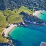 Coromandel and Cathedral Cove Scenic Flight from Tauranga - Why This Tour Offers Real Value