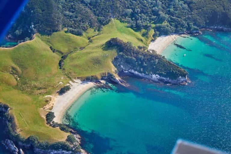Coromandel and Cathedral Cove Scenic Flight from Tauranga - Why This Tour Offers Real Value