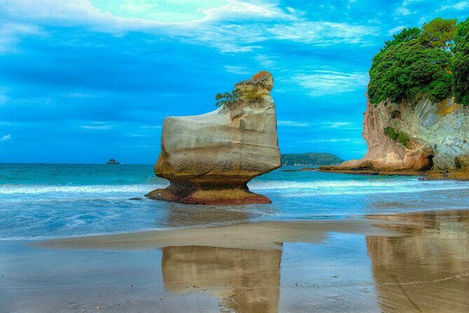 Coromandel Cathedral Cove and Hot Water Beach - Practical Details & What to Expect
