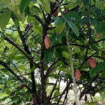 Countryside Bikking - What’s Included and What’s Not