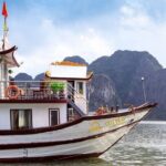 Cozy Bay Classic Cruise 2D1N,Kayak,Swim,Titop,Cave By Expressway - Final Thoughts: Who Will Love This Tour?