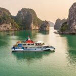 Cozy Bay Premium Halong Day Trip, 5 Star Cruise with Buffet Lunch - Who is This Tour Perfect For?