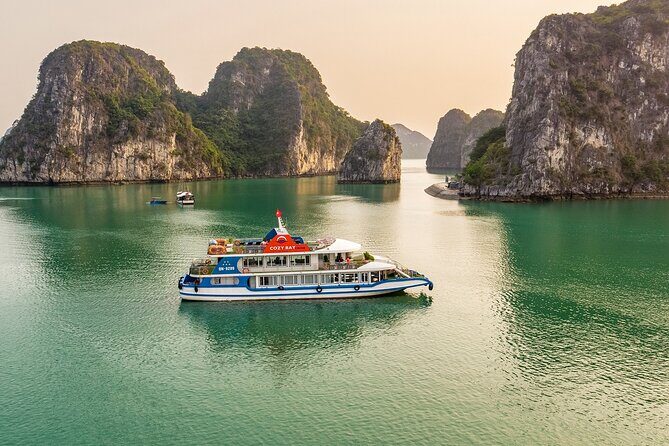 Cozy Bay Premium Halong Day Trip, 5 Star Cruise with Buffet Lunch - Who is This Tour Perfect For?