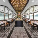 Cozy Premium 5 Star Halong Bay Day Tour By Expressway Transfer - Who Would Love This Tour?