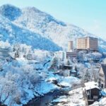 Crab Buffet, Jozankei Onsen, Shiroi Koibito Park Sapporo 1Day - Authentic Experiences and Insights from Reviews