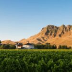 Craggy Range Deluxe, x2 winery tastings + Te Mata Peak - The Itinerary Breakdown