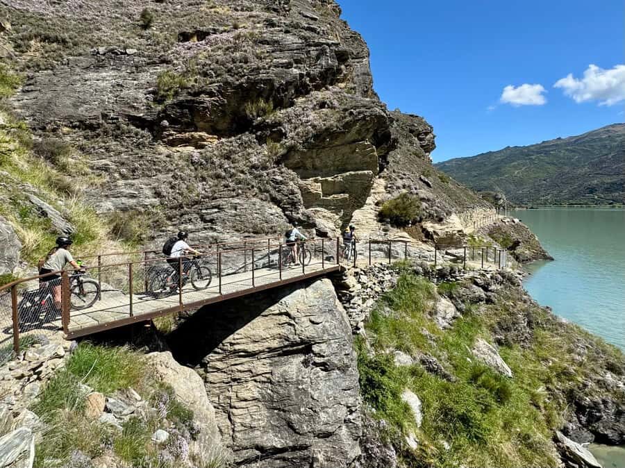 Cromwell: Lake Dunstan Boat & eBike Tour with Winery Lunch - Who Will Love This Experience?