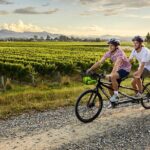 Cruise Excursion Self Guided Biking Wine Tour - Who Is This Tour Best For?
