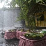 Cruise Shore Excursion of Villa Escudero with Lunch - Who Will Love This Experience?