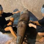 Cu Chi tunnel and Mekong Delta full day trip from Ho Chi Minh - The Value of the Experience