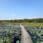 Cu Chi Tunnels and Tan Lap Floating Village Day Tour - Practical Details and Value Considerations