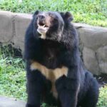 Cuc Phuong National Park and Bear Sanctuary Full Day Tour - The Practicalities and Value