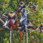 Cuc Phuong National Park Group Day Tour - The Sum Up