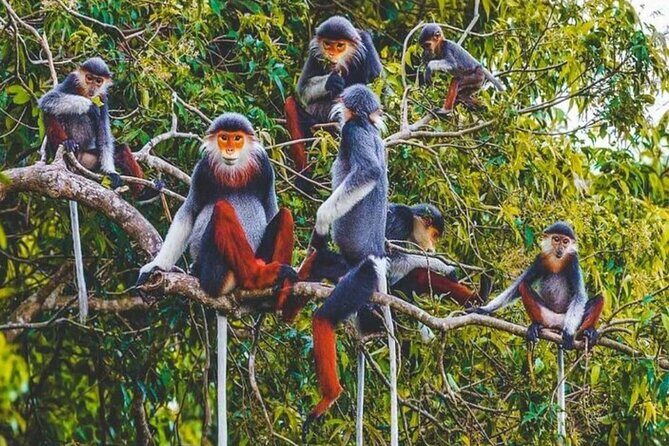 Cuc Phuong National Park Group Day Tour - The Sum Up