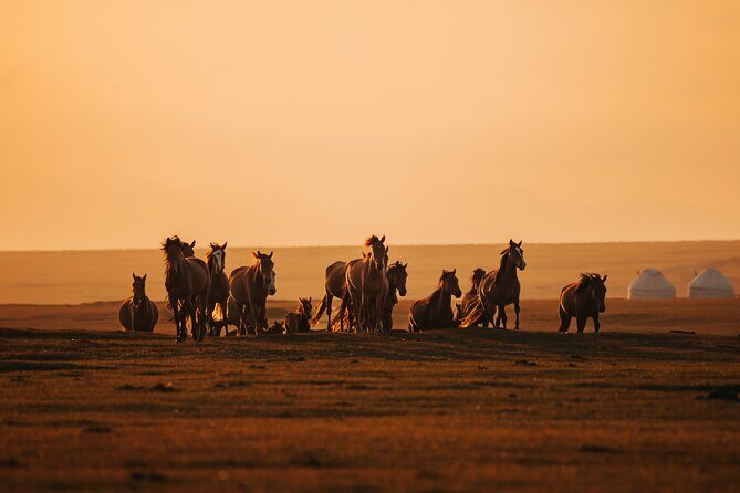 Cultural Tour at Kyrgyzstan in 8 days - Authentic Experiences and Hidden Gems