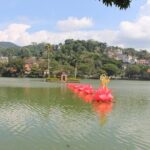 Culture Tour in Kandy - Authentic Experiences Based on Reviews