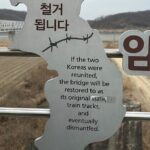 Curated Private Tour DMZ Seoul City - Practical Details and Tips