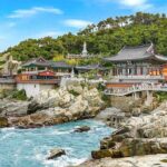 Customized 11 Days Japan and South Korea Adventure - The Practicalities: Transportation and Accommodation