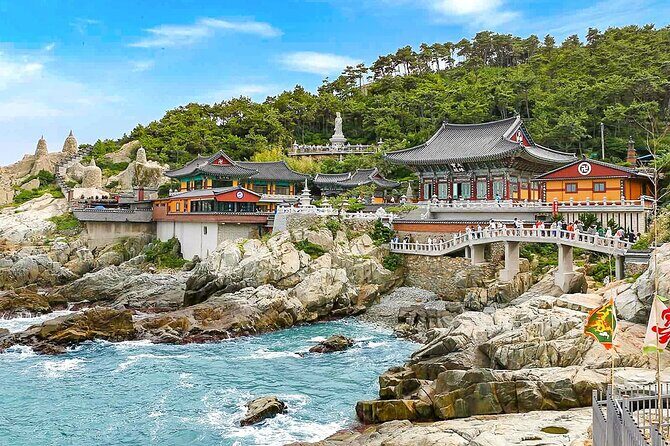 Customized 11 Days Japan and South Korea Adventure - The Practicalities: Transportation and Accommodation