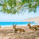 Customized 12 Days Indonesia Family Tour from Jakarta - Adventure and Nature: Cave Exploration and Volcano Views