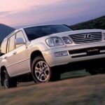 Customized Trips with Your Mongolian Car Charter, All in Package - Who Should Book This Tour?