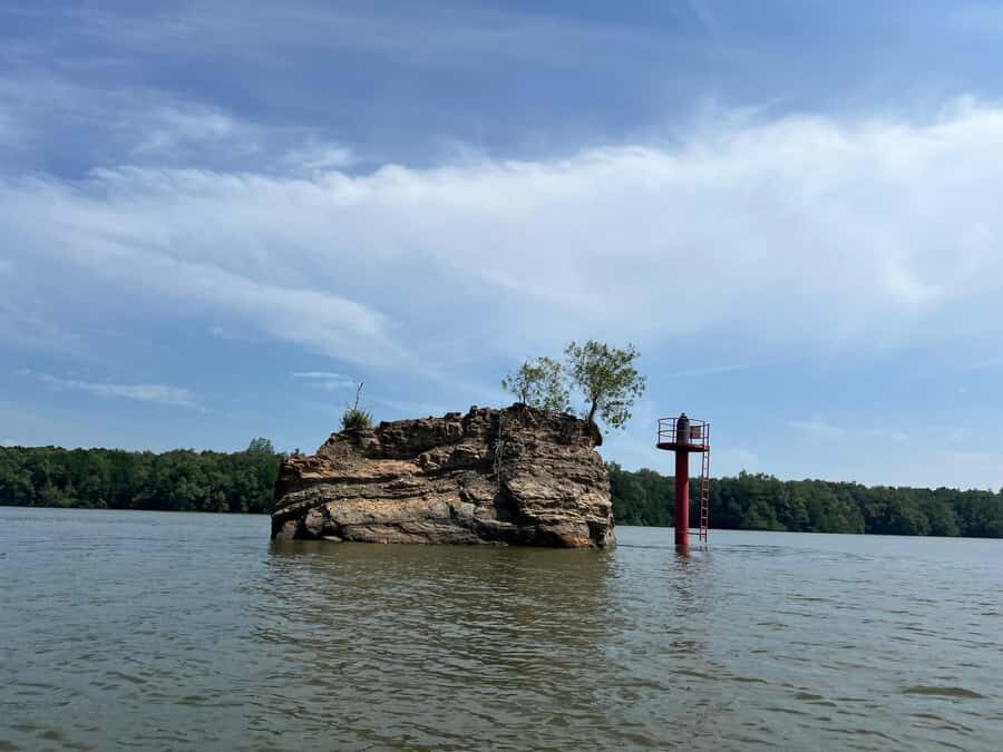 Cuti Brunei Muara Wildlife Cruise - The Experience Provider and Booking Flexibility