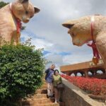 Da Lat Adventure: Full-Day Tour of New Attractions in 2025 - Practical Details and What You Should Know