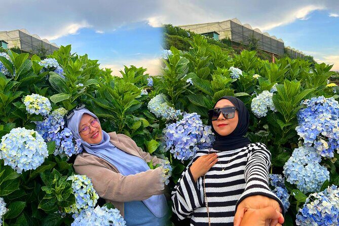 Da Lat Flower City 2 Days 1 Night Tour From Ho Chi Minh - First Impressions: Arriving in Da Lat