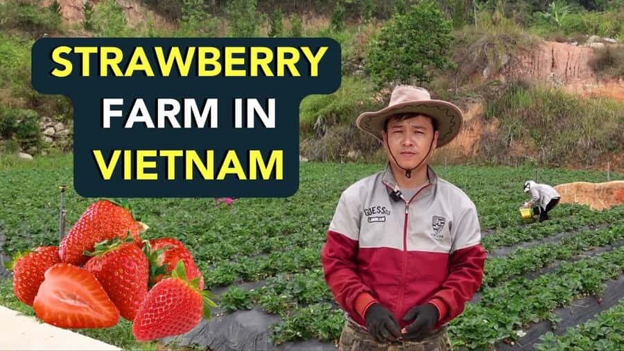 Da Lat: Sunrise Photography & Scenic Morning Tour - Practical Details and What to Expect