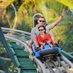 Da Nang: Golden Bridge & Ba Na Hill with Buffet - Full day from Da Nang city - A Deep Dive into the Tour Experience