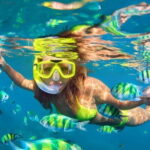 Da Nang: Son Tra Peninsula Exploration - Snorkeling, Fishing - Transportation & Group Dynamics