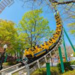 Daegu: E-World Theme Park & 83 Tower Observatory Ticket - Who Will Appreciate This Experience?