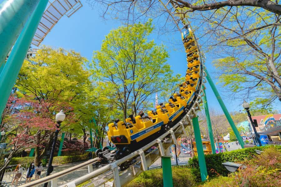 Daegu: E-World Theme Park & 83 Tower Observatory Ticket - Who Will Appreciate This Experience?