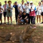 Daily Open Trip Komodo by Speedboat - Who Will Love This Tour?