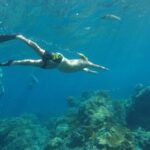 Daily West Nusa Penida Island and Snorkeling Tour with Lunch from Bali - What We Think About the Value