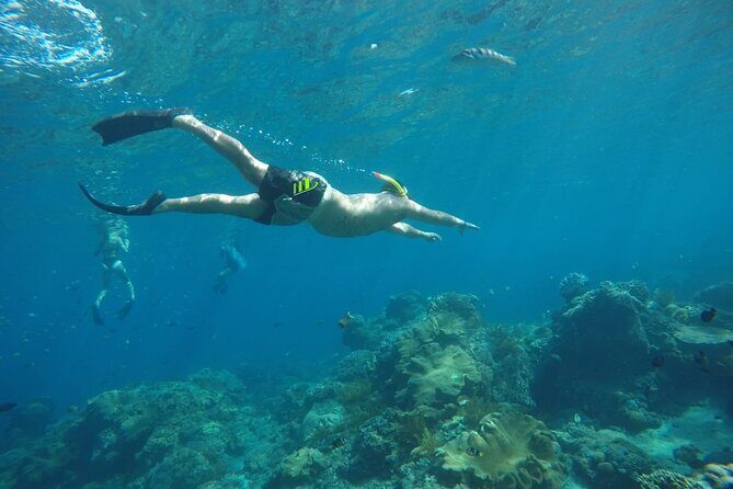 Daily West Nusa Penida Island and Snorkeling Tour with Lunch from Bali - What We Think About the Value