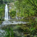 Daintree waters tour, all terrain vehicles and light lunch. - An In-Depth Look at the Daintree Waters Tour