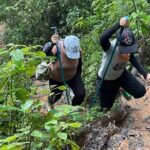 Dalat Pinhatt Peak Jungle Trek and Tuyen Lam Lake - The Value Proposition