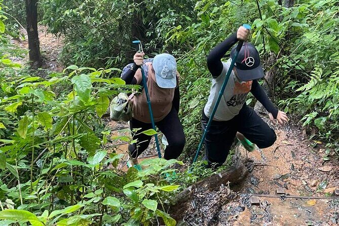 Dalat Pinhatt Peak Jungle Trek and Tuyen Lam Lake - The Value Proposition