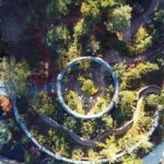 Dali: Cangshan Botanical Garden Ticket (Adult) - Who Will Love This Experience?