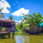 Damnoen Saduak Floating & Maeklong Train Market Private Tour - A Detailed Look at the Itinerary and Experiences