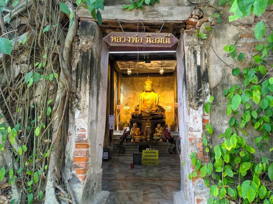 Damnoen Saduak Floating Market & Nakhon Pathom with Driver - What Reviewers Say