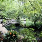 Dandenong Ranges Private Day Tour - In-Depth Look at the Itinerary